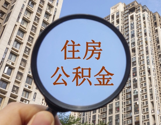 大丰公积金离职证明（大丰公积金离职证明范本）